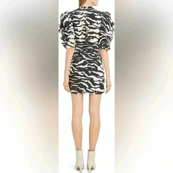 Isabel Marant Zebra Print Puff Sleeve Stretch Silk Minidress - Picture 2 of 7